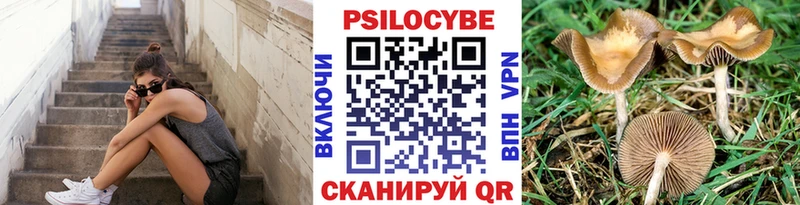 Купить где  Серов  Псилоцибиновые грибы Magic Shrooms 
